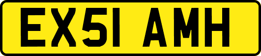 EX51AMH