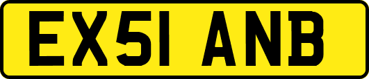 EX51ANB