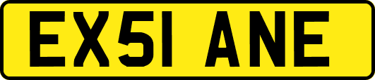 EX51ANE