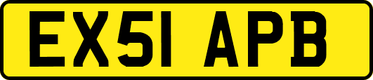 EX51APB