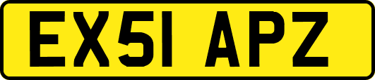 EX51APZ