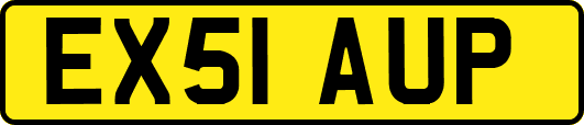 EX51AUP