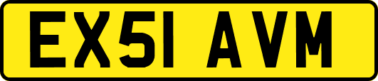 EX51AVM