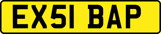 EX51BAP