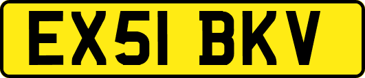 EX51BKV