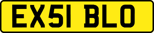 EX51BLO