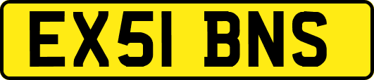 EX51BNS