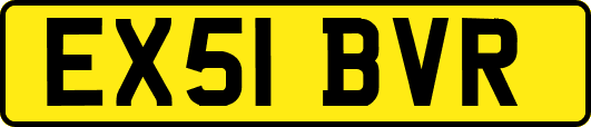 EX51BVR