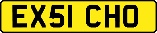 EX51CHO