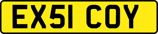 EX51COY