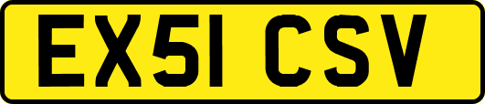 EX51CSV