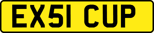 EX51CUP