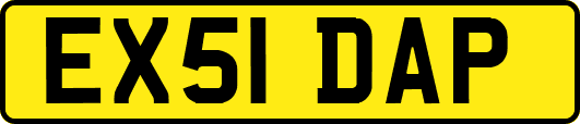 EX51DAP