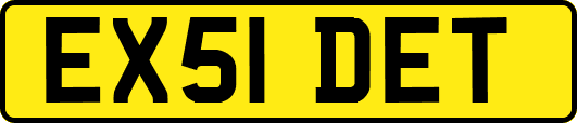 EX51DET