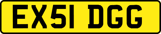 EX51DGG