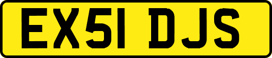 EX51DJS