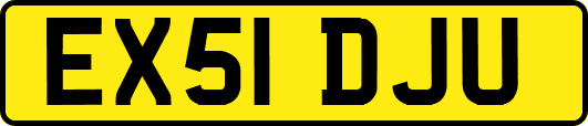 EX51DJU