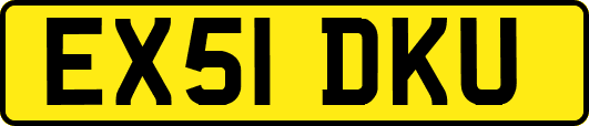 EX51DKU