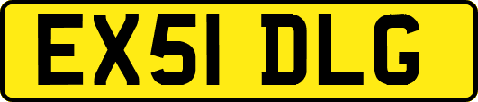 EX51DLG