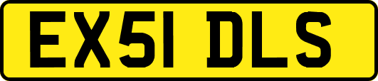 EX51DLS