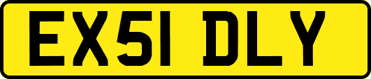 EX51DLY
