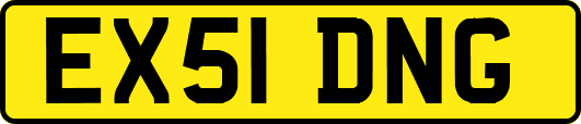 EX51DNG