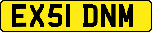 EX51DNM