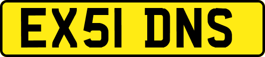 EX51DNS