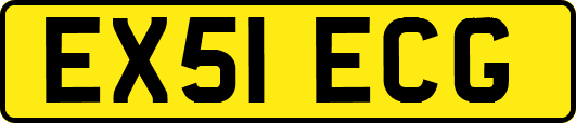 EX51ECG