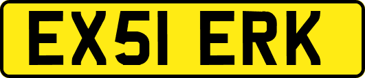 EX51ERK