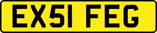 EX51FEG
