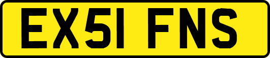 EX51FNS