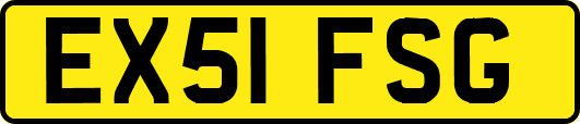 EX51FSG