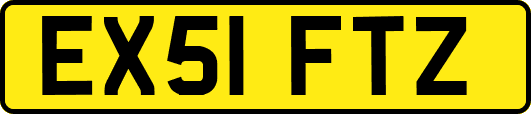 EX51FTZ