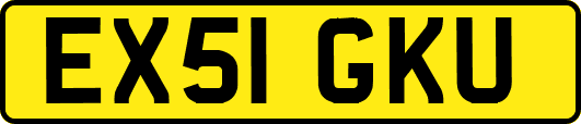 EX51GKU