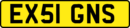 EX51GNS