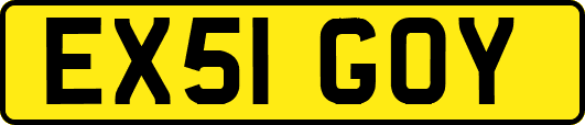 EX51GOY