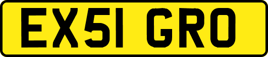 EX51GRO