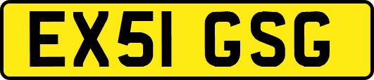 EX51GSG