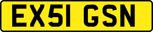 EX51GSN