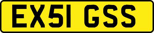 EX51GSS