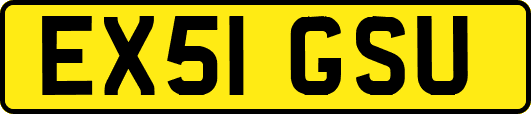 EX51GSU