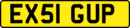 EX51GUP