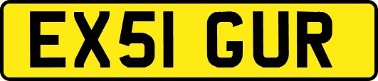 EX51GUR