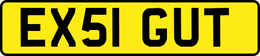 EX51GUT