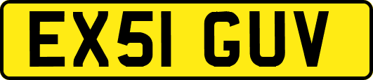 EX51GUV