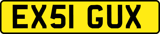 EX51GUX