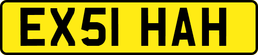 EX51HAH