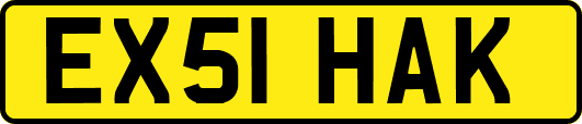 EX51HAK