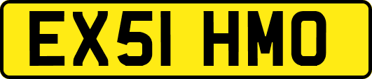 EX51HMO